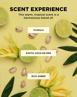 BOUNCE.ME spring duo for curls scent experience is a warm, tropical experience of florals, exotic coco-de-mer and rich amber.
