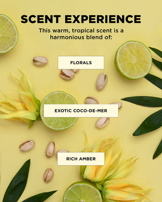 Scent experience featuring floral notes, exotic coco de mer, and rich amber, creating a tropical and warm fragrance.