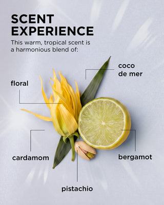 This warm, tropical scent is a harmonious blend of floral, cardamom, coco de mer, pistachio and beramot.