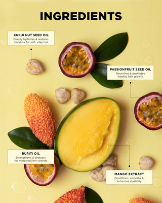 Image showcasing hero ingredients in the Curl Defining Hair Kit such as Kukui nut seed oil, passionfruit seed oil, mango extract, and Buriti oil.